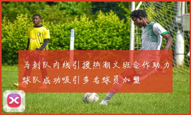 马刺队内线引援热潮文班合作助力球队成功吸引多名球员加盟